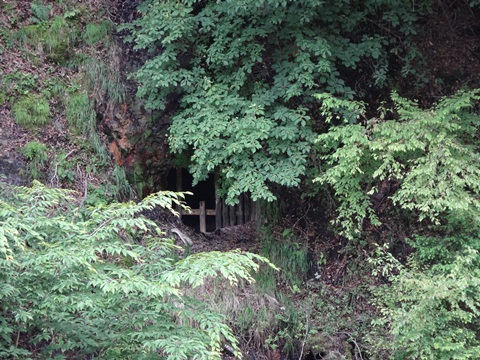 DSC01705.JPG