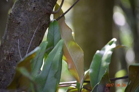 DSC_0046.jpg
