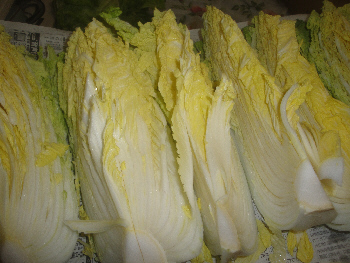 2012/12/18(3)