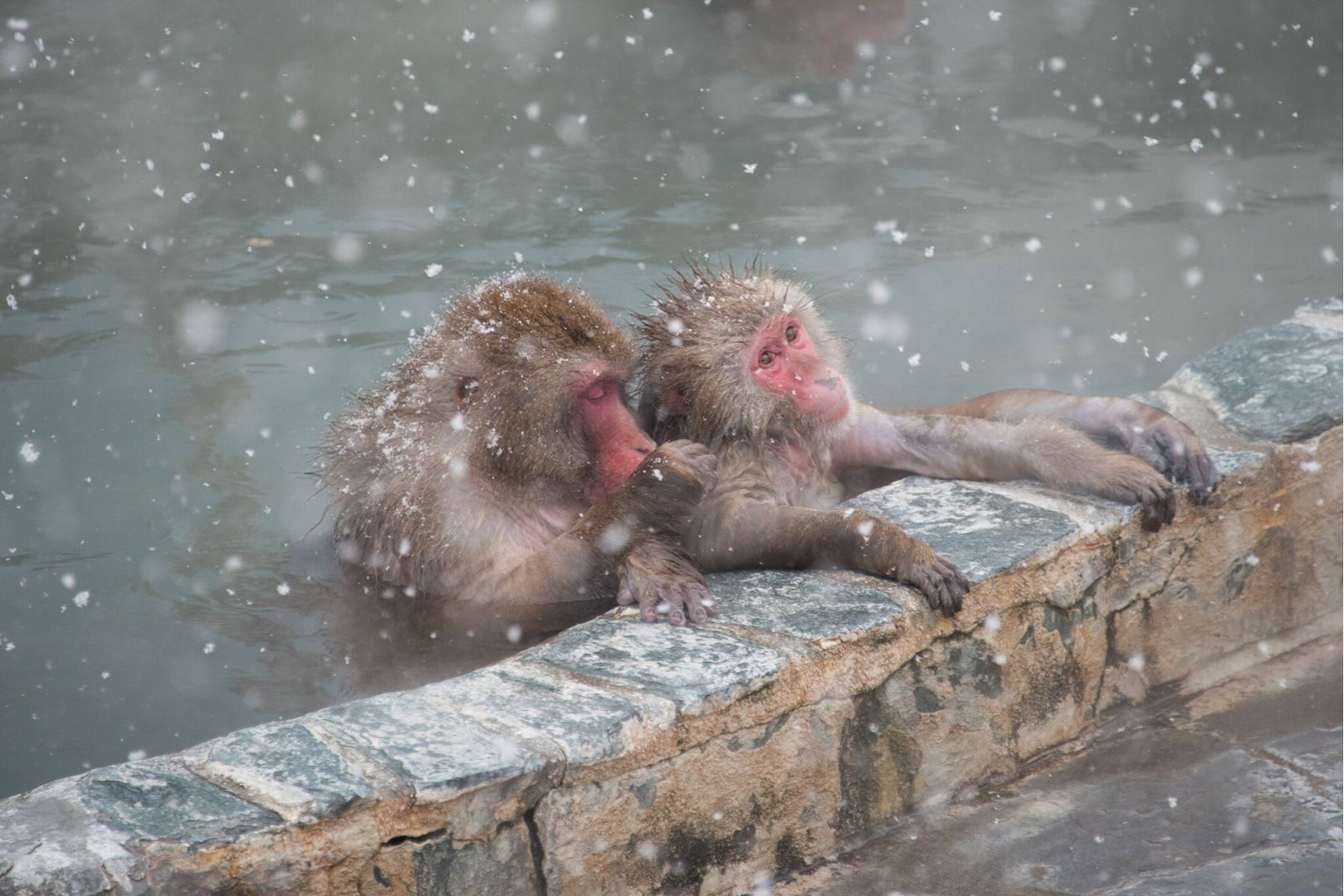 ニコンカレッジ札幌校 函館市熱帯植物園 Brightness Taking Photos Of Everyday Life By Sachiko Kubota 楽天ブログ