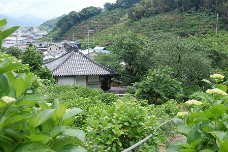 s-DSC_0354.jpg