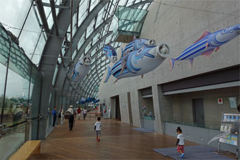 小名浜65.jpg