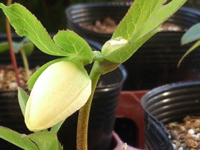 rblog-20150220174346-02.jpg