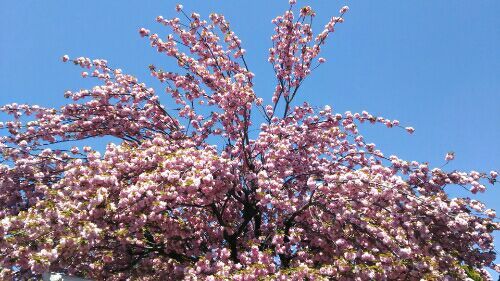 rblog-20170423153711-03.jpg