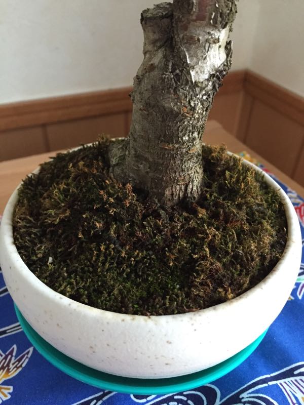rblog-20160305235524-03.jpg