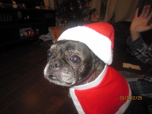 IMG_9005 (300x225).jpg