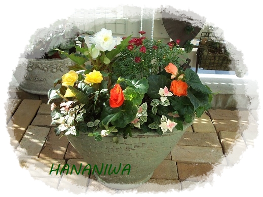 2012_1010トレッサ用寄せ植えとクレマチスの講座とカ0005.JPG