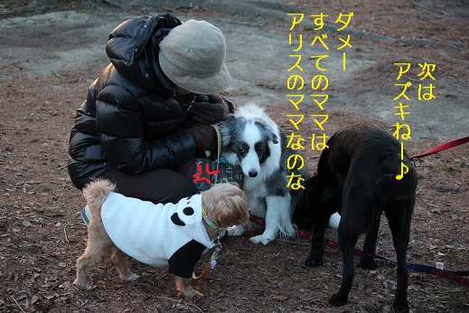 あまえんぼう