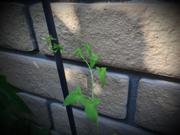 rblog-20160430181329-04.jpg