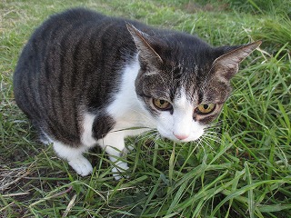 IMG_5025ss.jpg