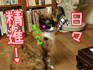精進.JPG