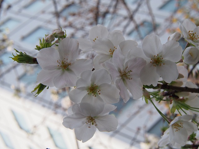 P3250018.jpg