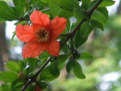 DSCF0923.jpg