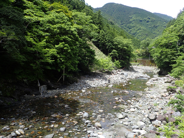 resize0008.jpg