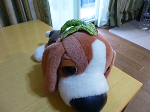 P1050071.JPG