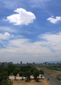 IMG_0920_1.jpg