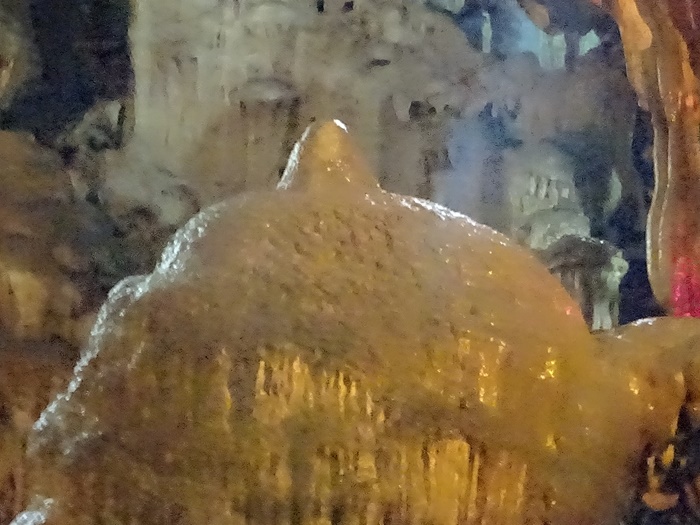 DSC09625_R.JPG