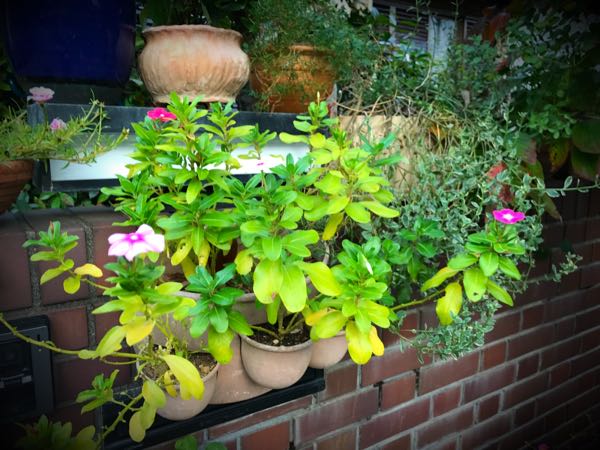 rblog-20161030163019-08.jpg