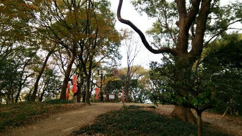 rblog-20161214223621-03.jpg