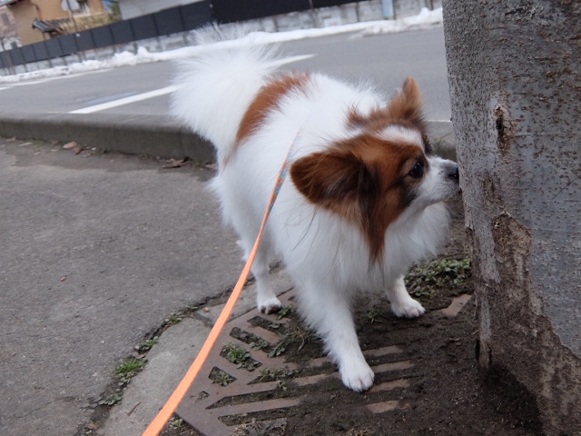 2016_0214_05191600.jpg