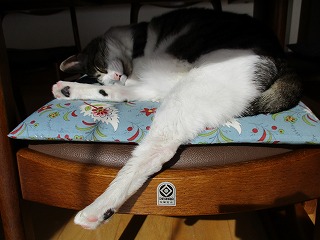 IMG_5642ss.jpg