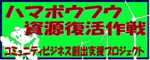 留萌振興局「ハマボウフウ資源復活作戦」