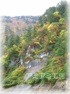奥只見湖_10