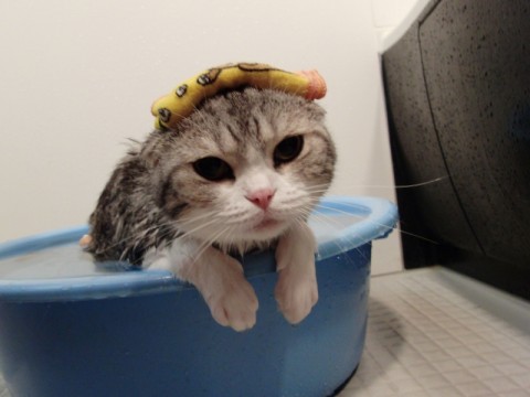 まったり.jpg