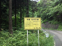 SN3P0144.JPG