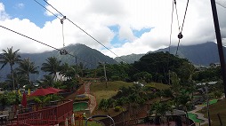 01260