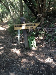 IMG_0920.jpg