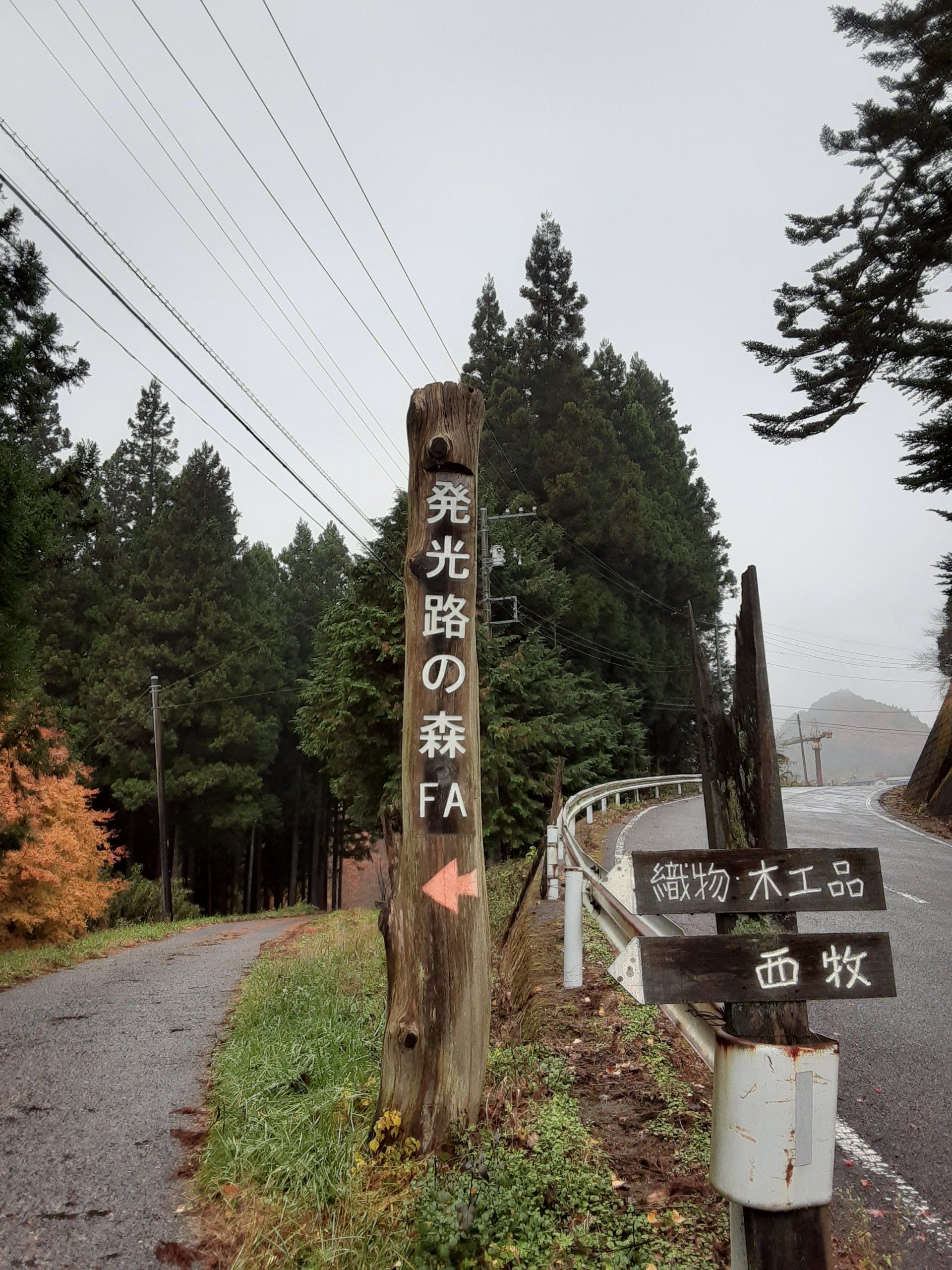 アウトドアヴィレッジ発光路の森で三倍体サクラマスを狙う! タカの管釣り釣行記 楽天ブログ アウトドアヴィレッジ発光路の森で三倍体サクラマスを狙う! タカの管釣り釣行記 楽天ブログ