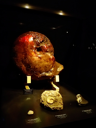 2015-01-13-22-08-55_deco.jpg