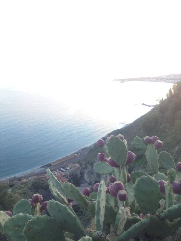 rblog-20140102090952-02.jpg