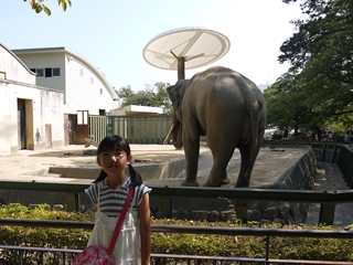 2014年9月28日王子動物園 (1)
