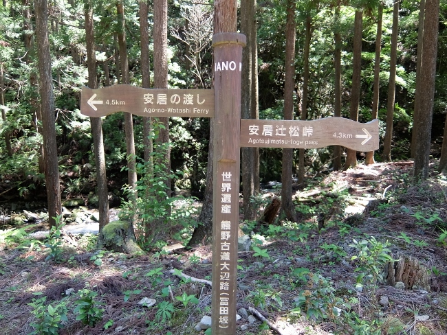 熊野古道　富田坂　世界遺産