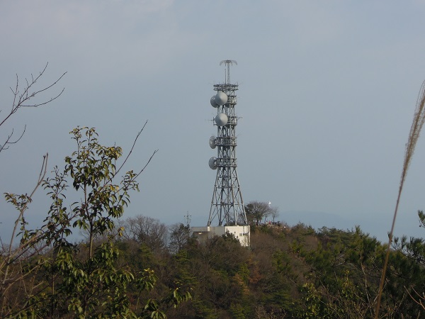 DSCN2659s.jpg