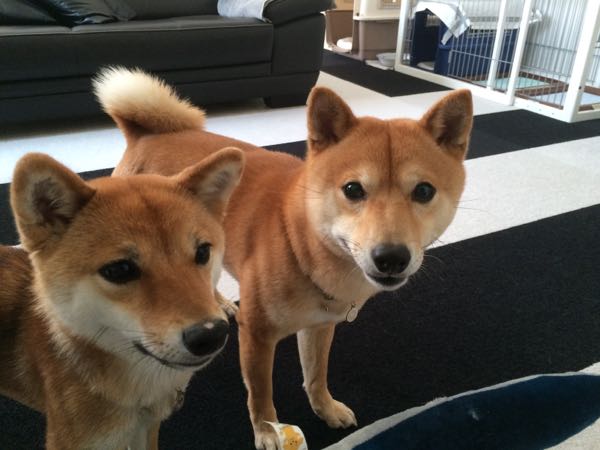 rblog-20160412234819-03.jpg
