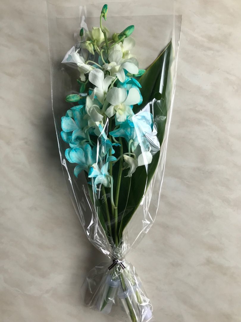 夫が買ってきたデンファレの花束を花瓶に生け 義父母の位牌の横に供えました Music Land 私の庭の花たち 楽天ブログ