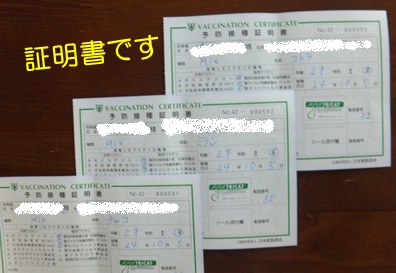 20121006_6.jpg