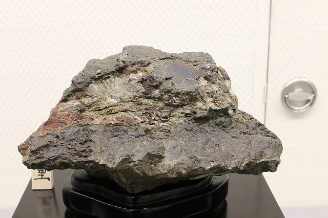 2017　第47回　大垣　石誠会　名石展