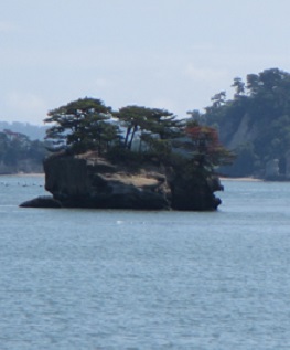 松１２.jpg