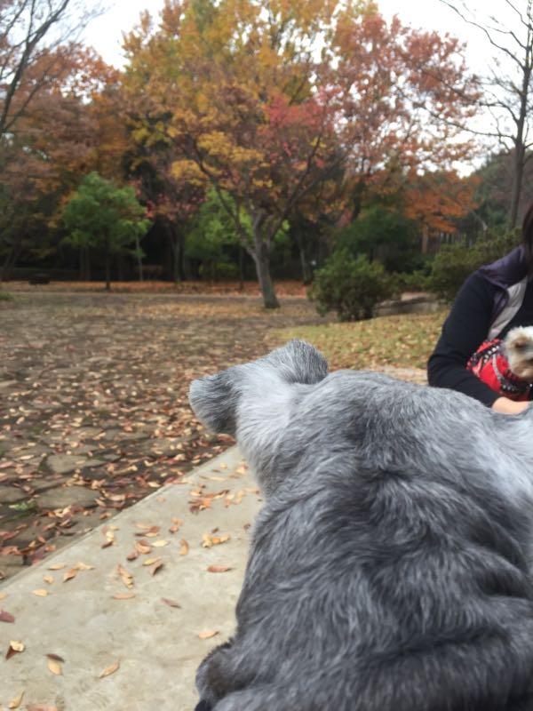 rblog-20161123065703-04.jpg