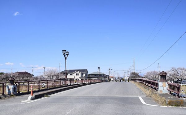 こだま千本桜 十二天橋と雉岡城跡の桜19 見栄子の熊谷らいふ 楽天ブログ