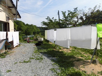 CIMG0700.JPG
