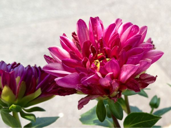 rblog-20140725144937-03.jpg