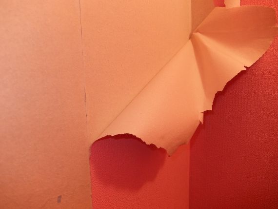 トイレのDIY セルフリノベーション リフォーム 壁紙