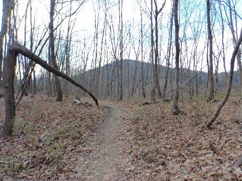 秩父・宝登山497．1m山行で幸せの香り満喫 | やっぱり山と花が好き - 楽天ブログ