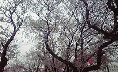 常盤平２