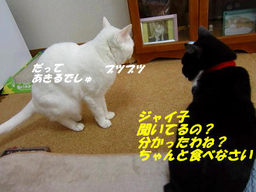 ちゃんと聞いてるの？.jpg